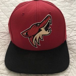 Arizona Coyotes snapback